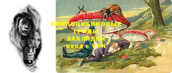 дживик Абинск