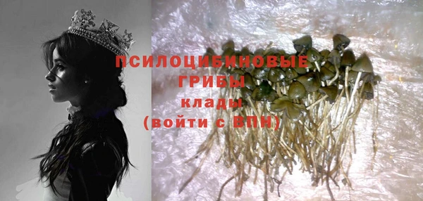 дживик Абинск
