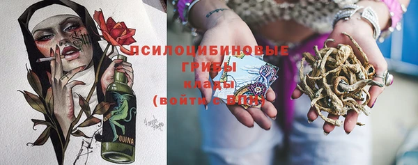 spice Абаза