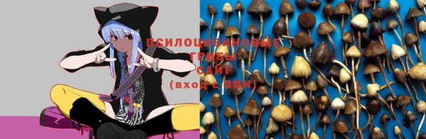 дживик Абинск